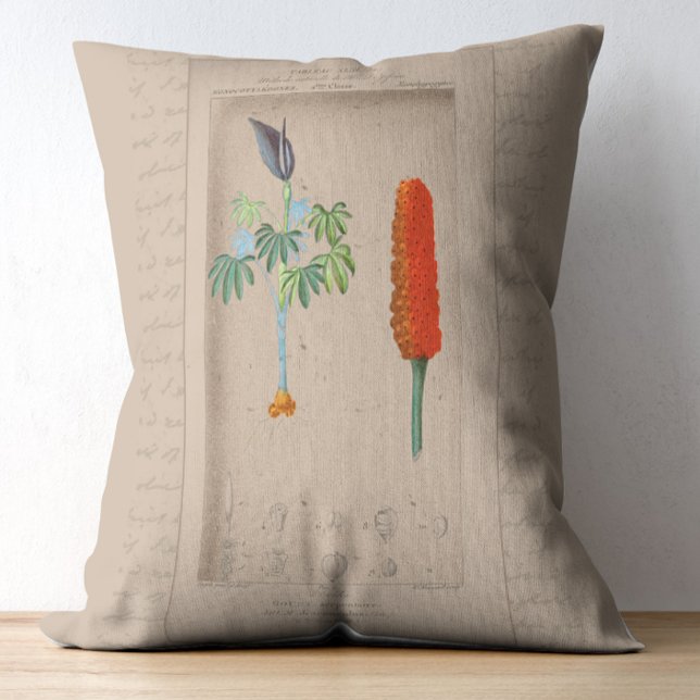Fransk botaniskt illustration Snakelily Prydnadskudde (Skapare uppladdad)
