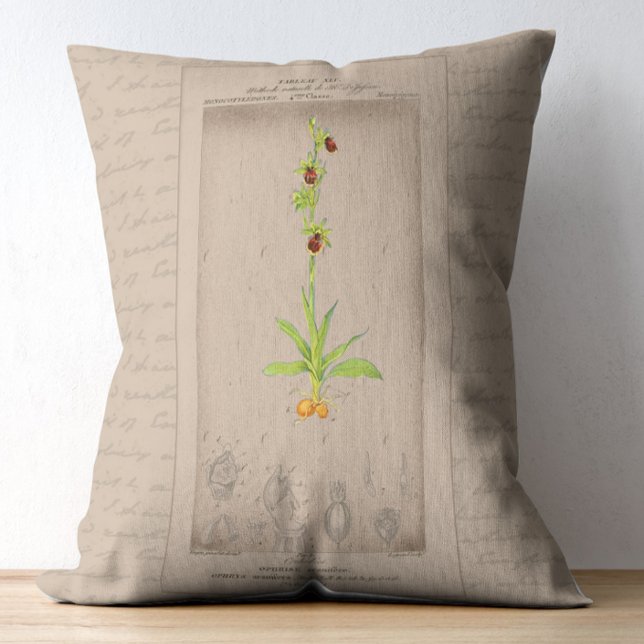 Fransk Botaniskt Illustration Spider Orchid Prydnadskudde (Skapare uppladdad)