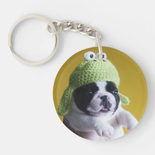 Fransk Bulldog