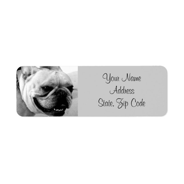 Fransk Bulldog-Adressetiketter Returadress Etikett (Framsidan)