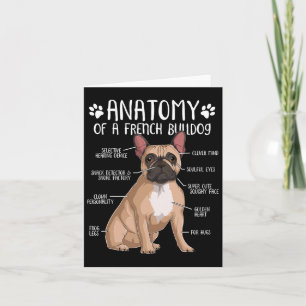 Fransk Bulldog Anatomy Frenchie Hund älskare Owner Kort