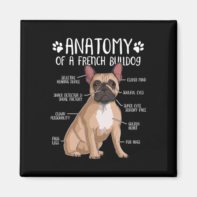 Fransk Bulldog Anatomy Frenchie Hund älskare Owner Magnet (Framsidan)