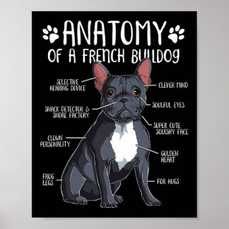 Fransk Bulldog Anatomy Frenchie Hund älskare Owner Poster