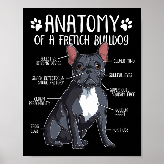 Fransk Bulldog Anatomy Frenchie Hund älskare Owner Poster (Framsidan)
