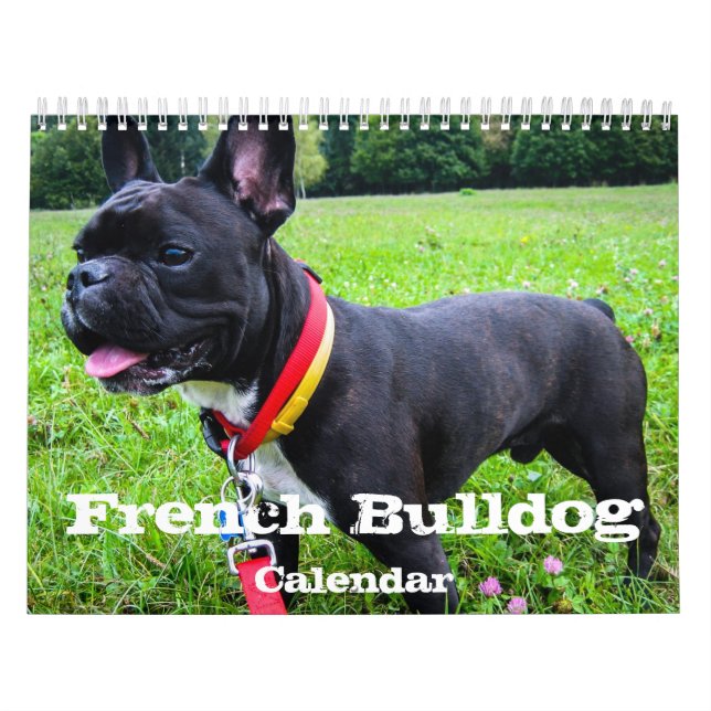 Fransk Bulldog Anpassningsbar Calendar Add Pet Pho Kalender (Omslag)