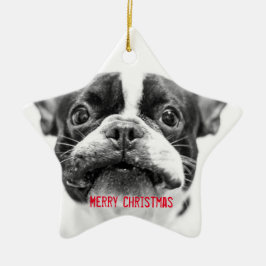 Fransk Bulldog-Anpassningsbarna Jul Ornament Star