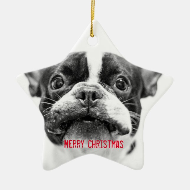 Fransk Bulldog-Anpassningsbarna Jul Ornament Star (Framsidan)