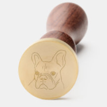 Fransk Bulldog Ansikte