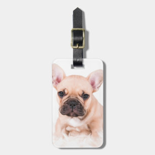 Fransk Bulldog Bagagebricka