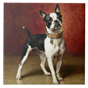 Fransk Bulldog, berömd-målning av Carl Reichert Kakelplatta