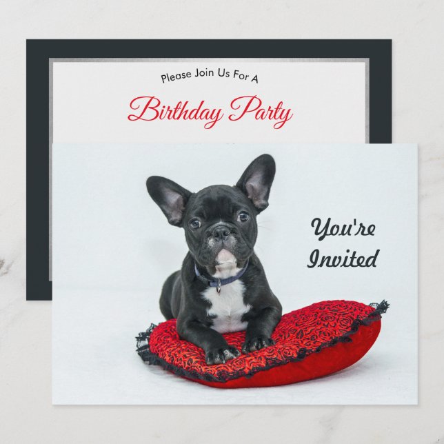 Fransk Bulldog Black Pillow Photo Birthday Inbjudningar (Fram/baksida)