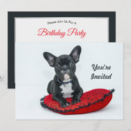 Fransk Bulldog Black Pillow Photo Birthday Inbjudningar