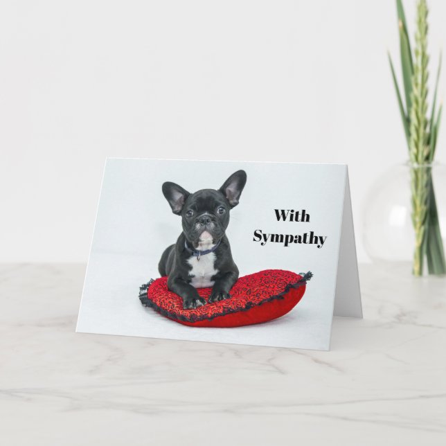 Fransk Bulldog Black Pillow Photo Sympathy Kort (Framsida)
