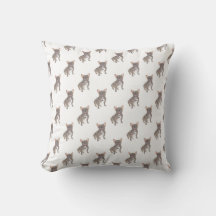 Fransk Bulldog (Blue Grått Silver Chocolate Lilac)