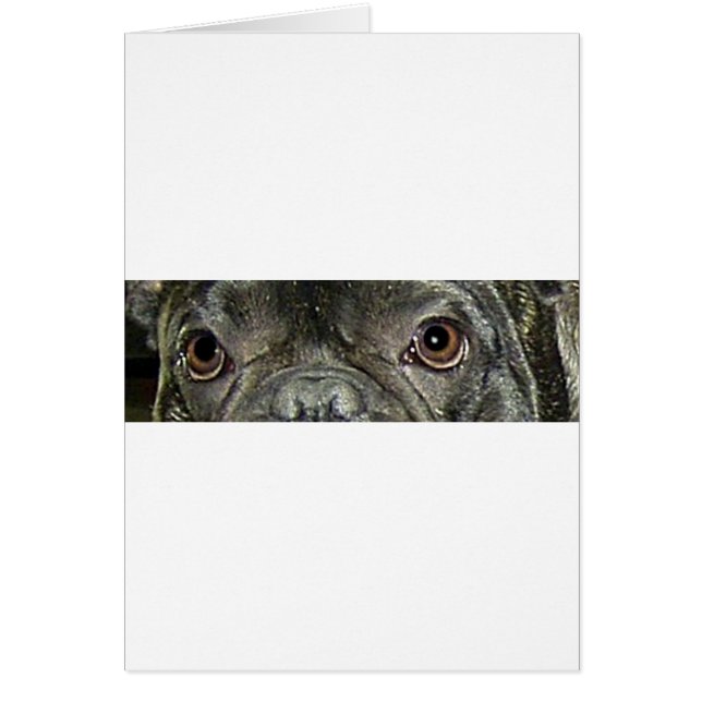 fransk bulldog brindle ögon hälsningskort (Framsidan)