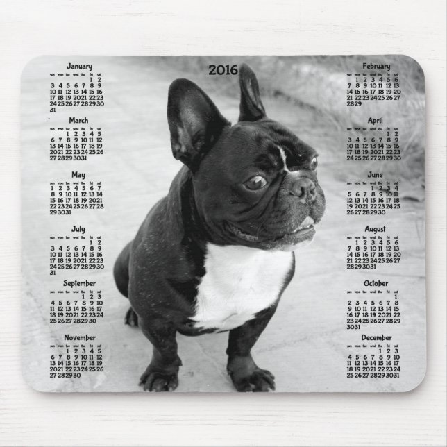 Fransk Bulldog Calendar 2016 Photo Mus mattor Musmatta (Framsidan)