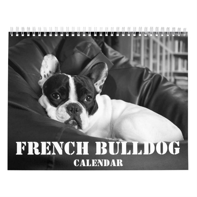 Fransk Bulldog Calendar 2023 Black White Photos Kalender (Omslag)