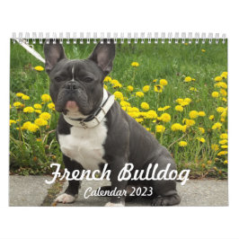Fransk Bulldog Calendar 2023 Lägg till foton Kalender