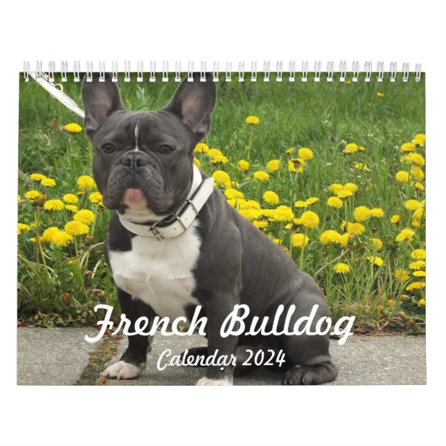 Fransk Bulldog Calendar 2024 Lägg till foton Kalender (Omslag)