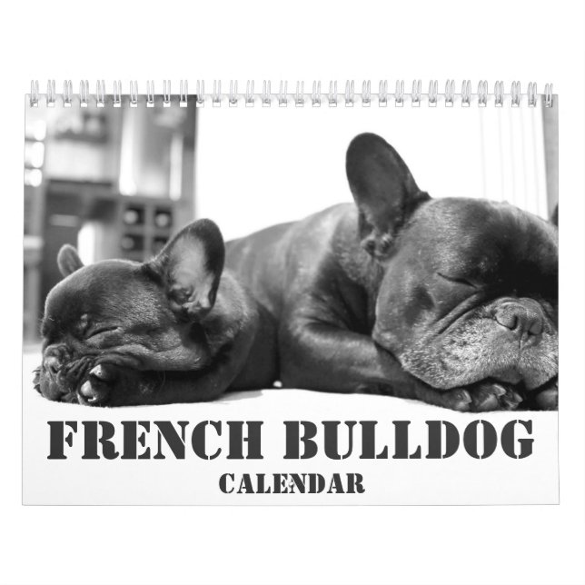 Fransk Bulldog Calendar 2026 Black and White Kalender (Omslag)