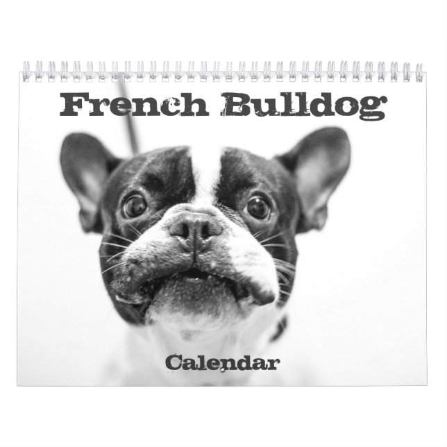 Fransk Bulldog Calendar 2026 Black and White Kalender (Omslag)