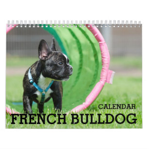 Fransk Bulldog Calendar 2026 Kalender
