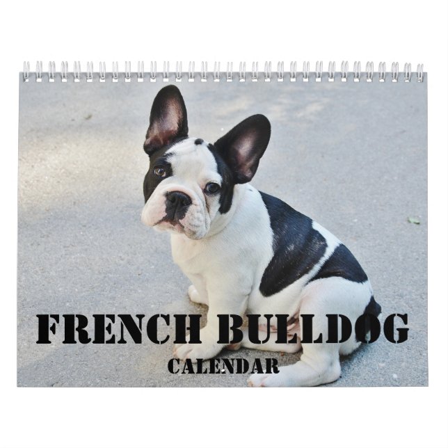 Fransk Bulldog Calendar 2026 med dina foton Kalender (Omslag)
