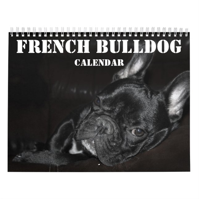 Fransk Bulldog Calendar 2026 med foton Kalender (Omslag)