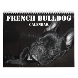 Fransk Bulldog Calendar 2026 med foton Kalender