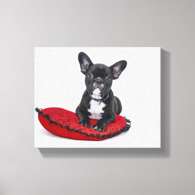 Fransk bulldog canvas (Framsida)