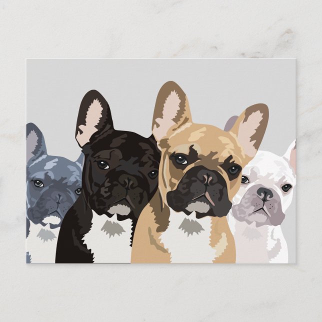 Fransk Bulldog | Cute Frenchie Bulldog Vykort (Framsida)