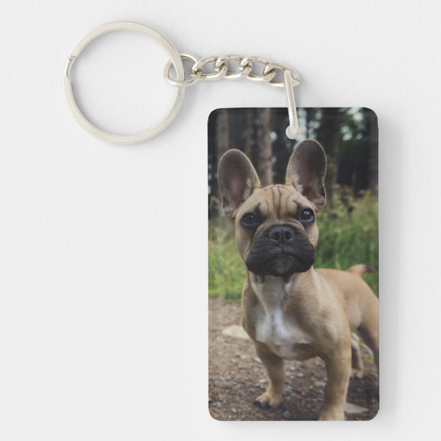 Fransk Bulldog Dekorativ kudde (Framsidan)