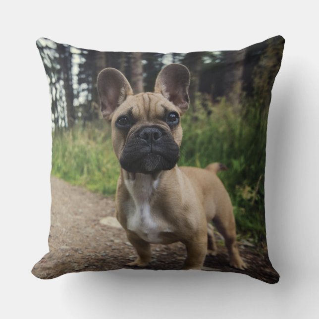 Fransk Bulldog Dekorativ kudde (Framsida)
