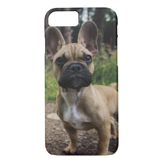 Fransk Bulldog Dekorativ kudde Case-Mate iPhone Skal (Baksida)