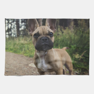 Fransk Bulldog Dekorativ kudde Kökshandduk