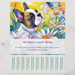 Fransk Bulldog Flyer 