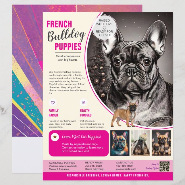 Fransk Bulldog Flyer Lila  (Fram/baksida)