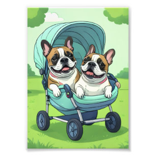 Fransk Bulldog Fransk Bulldogg Tvillingar Fototryck