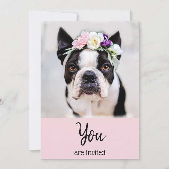 *~* Fransk Bulldog Frenchie Event Cute Inbjudan (Framsida)