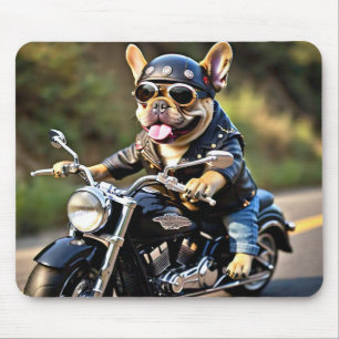Fransk Bulldog "Frenchie" på motorcykelns muspad Musmatta