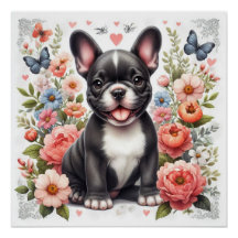 Fransk Bulldog Glossy Poster