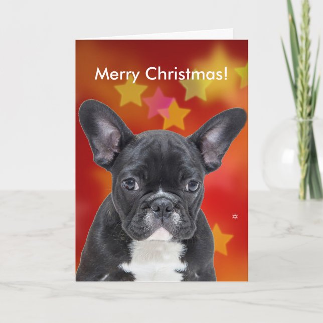 Fransk Bulldog God jul Stars Card Helgkort (Framsida)