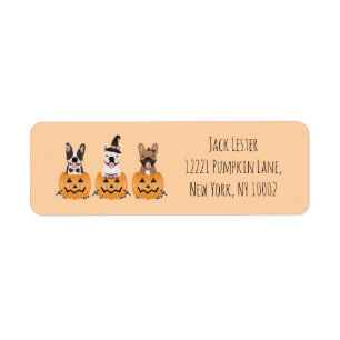 Fransk Bulldog Halloween Pumpkin Returadress Etikett