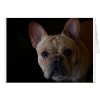Fransk Bulldog Hälsningskort