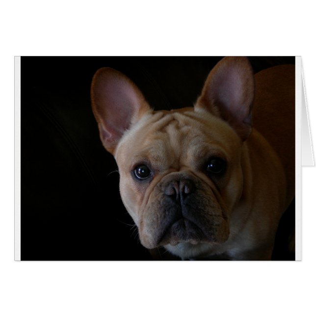 Fransk Bulldog Hälsningskort (Framsidan Horizontal)