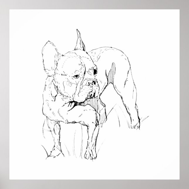 Fransk Bulldog – Handritad Hundillustration Poster (Framsidan)