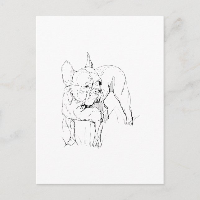 Fransk Bulldog – Handritad Hundillustration Vykort (Framsida)