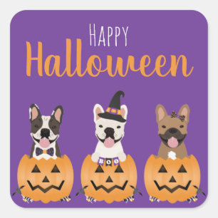 Fransk Bulldog Happy halloween Fyrkantigt Klistermärke