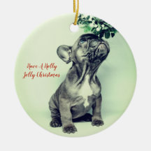 Fransk Bulldog Holly Jolly Jul och Mistletoe