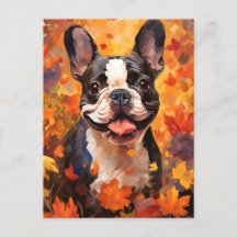 Fransk Bulldog Höst Tacksgiving